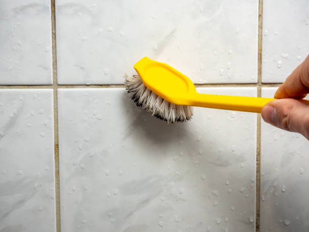 Best Mold Testing  in Northfield, IL